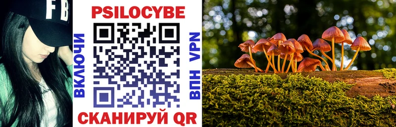 Псилоцибиновые грибы ЛСД  Дегтярск 